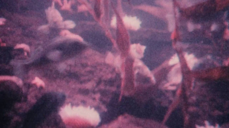 кадр из фильма Triste