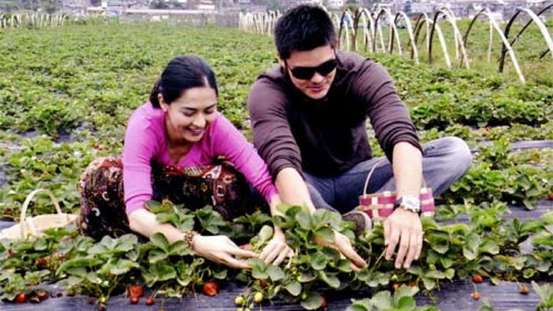 кадр из фильма You to Me Are Everything