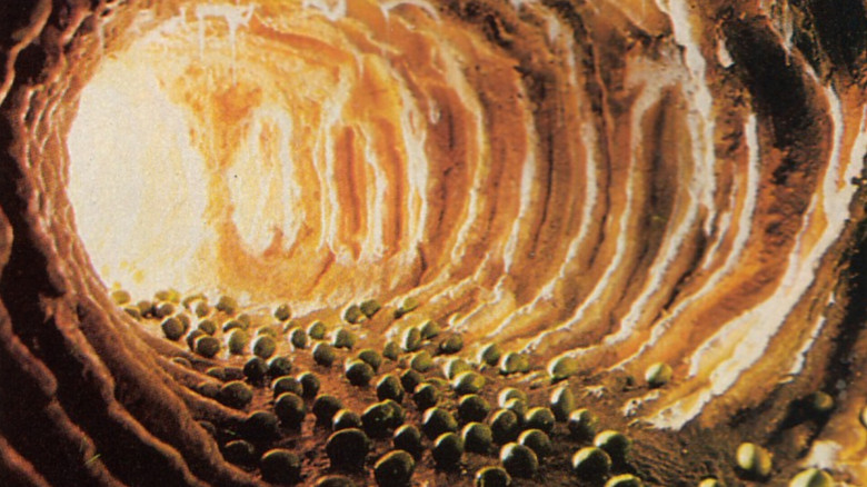 кадр из фильма Заражение