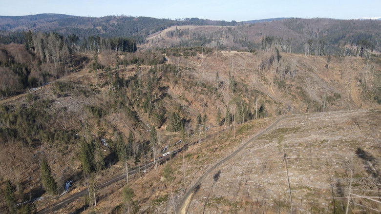 кадр из фильма Hlas lesa