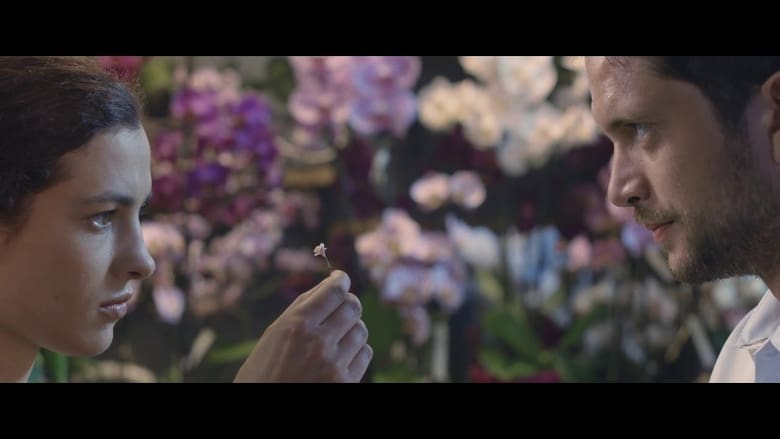 кадр из фильма Безкрайната градина