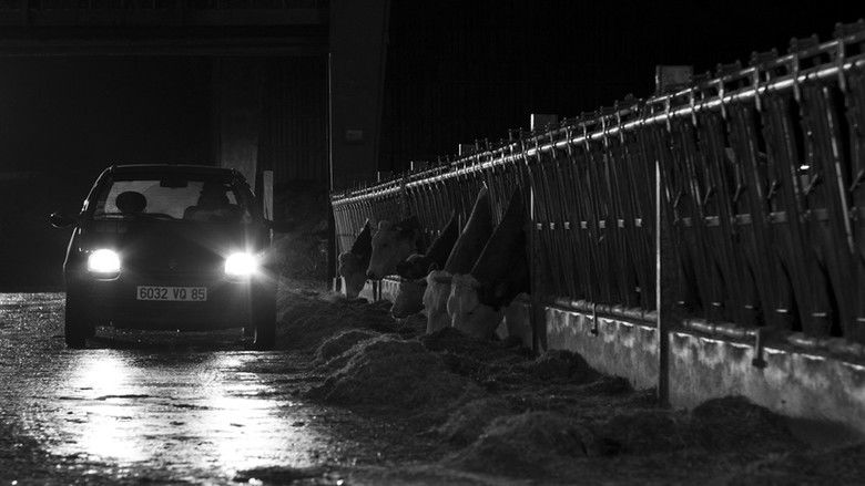 кадр из фильма La danse des accrochés