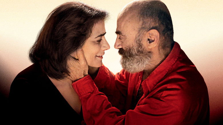 кадр из фильма Газа,любовь моя