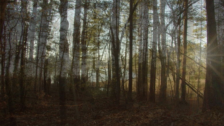 кадр из фильма Pathways