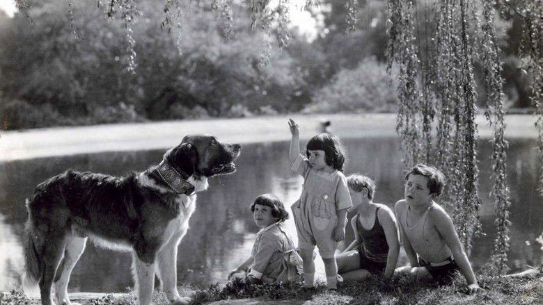 кадр из фильма The Call of the Wild