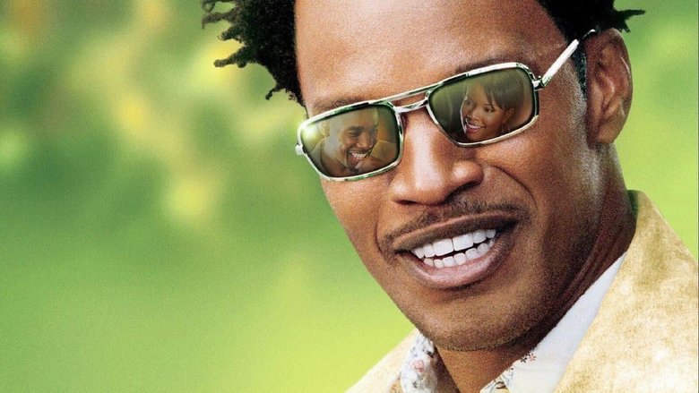 кадр из фильма Энциклопедия разводов