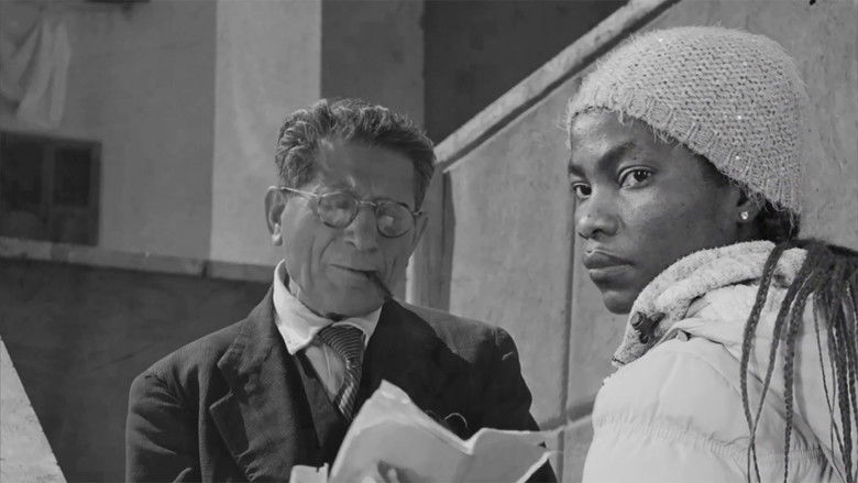 кадр из фильма Six portraits néoréalistes