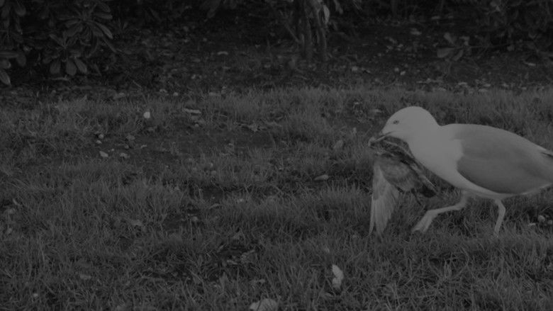 кадр из фильма Els Invisibles