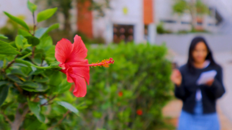 кадр из фильма The Painter