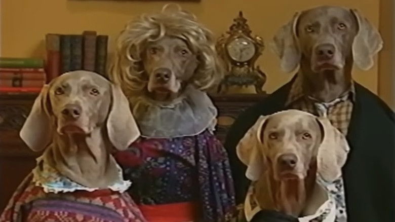 кадр из фильма Fay's 12 Days of Christmas