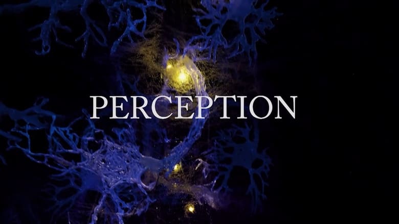 кадр из фильма Perception