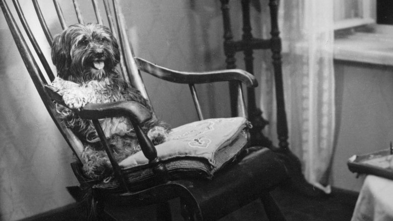 кадр из фильма Барбос в гостях у Бобика