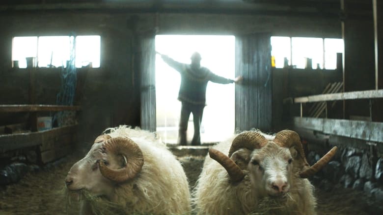 кадр из фильма Бараны