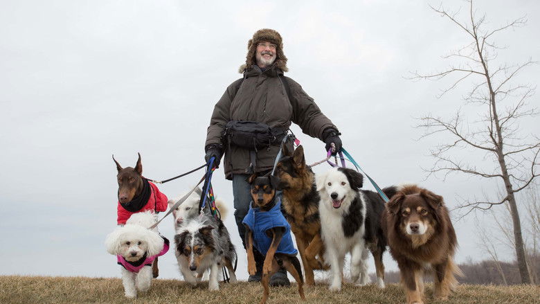 кадр из фильма La Nouvelle Vie de Paul Sneijder
