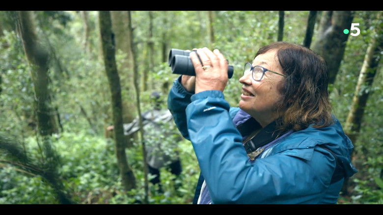 кадр из фильма Ivohiboro, la forêt oubliée