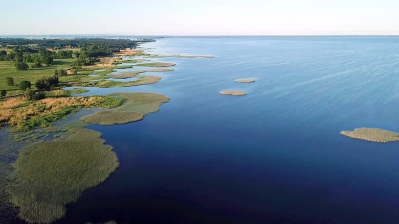 кадр из фильма Das Oder-Delta - Grenzenlose Wildnis an der Ostsee