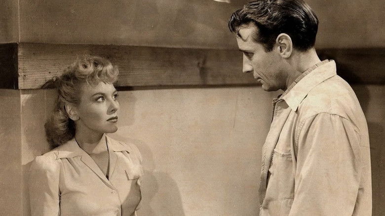 кадр из фильма The Unknown Guest