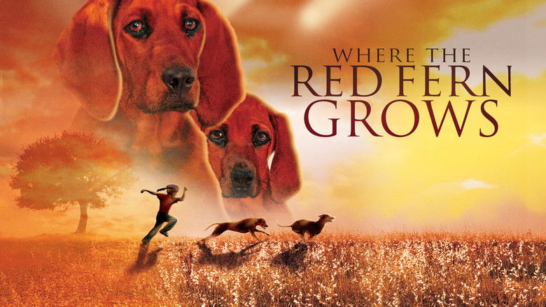 кадр из фильма Where the Red Fern Grows