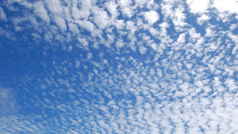 кадр из фильма Ten Skies