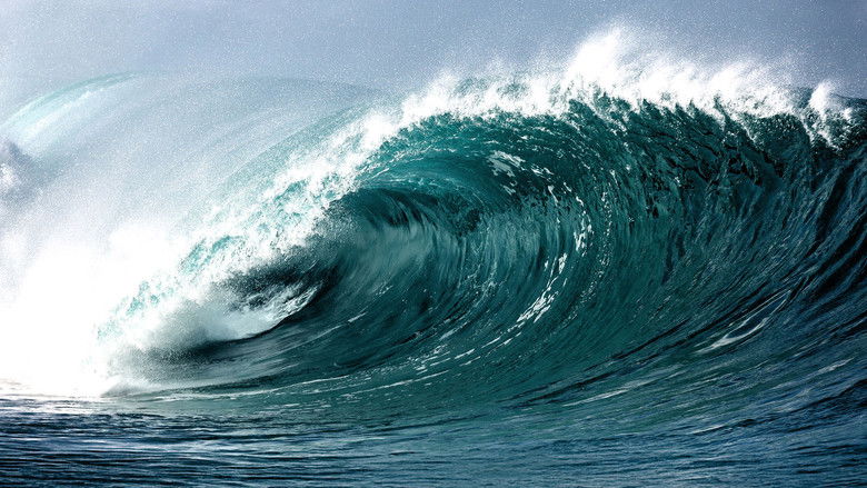 Tsunami: The Wave That Shook the World