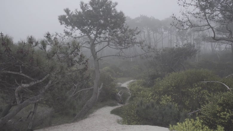 кадр из фильма I Am A Live