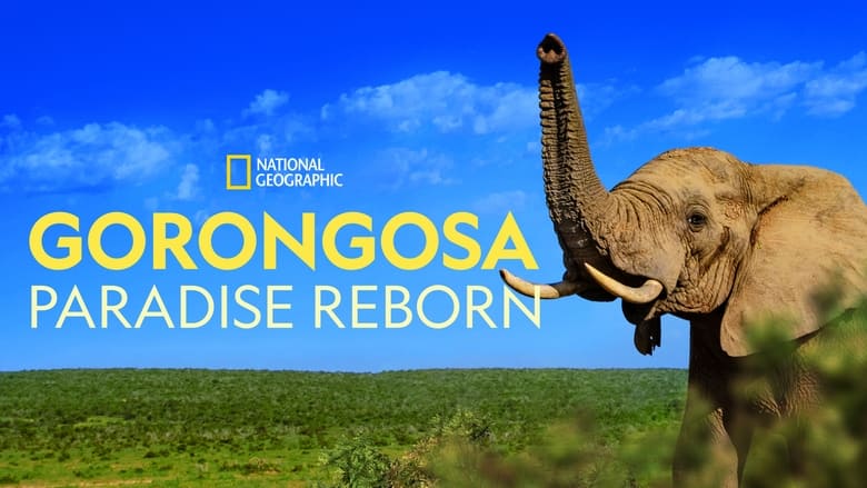 кадр из фильма Gorongosa: Paradise Reborn