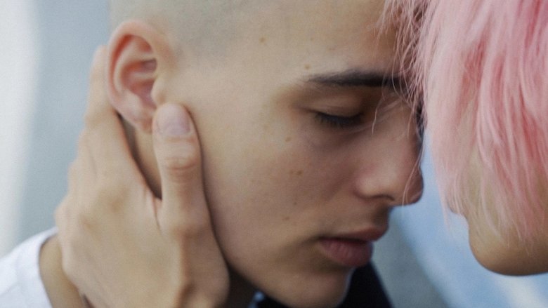 кадр из фильма Остерегайся псов