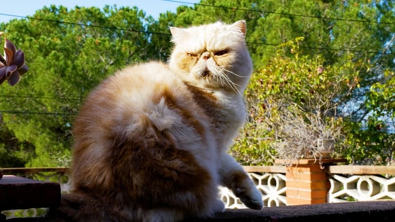 кадр из фильма BBQ