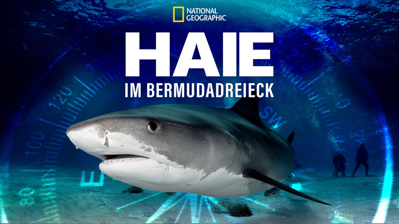 кадр из фильма Sharks of the Bermuda Triangle