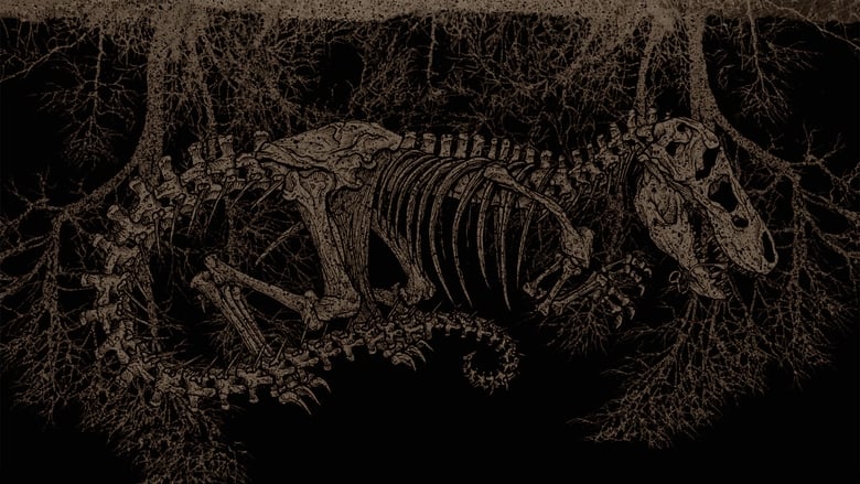 кадр из фильма Тираннозавр