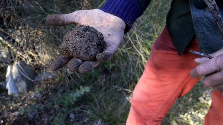 кадр из фильма Truffel liefde