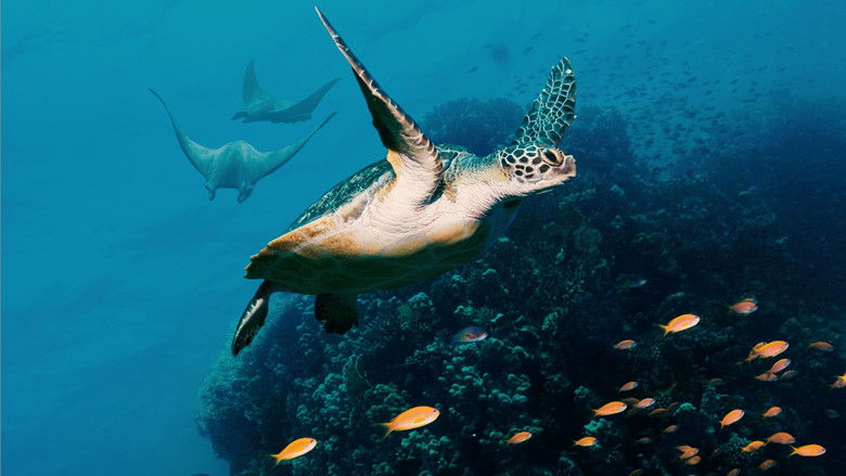 кадр из фильма Океан с Дэвидом Аттенборо