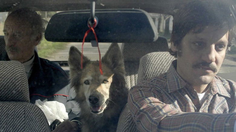 кадр из фильма Camino a La Paz