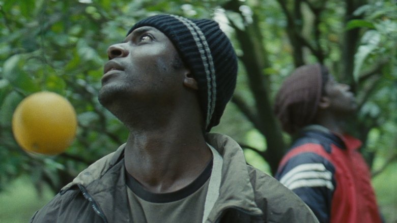 кадр из фильма Средиземноморье