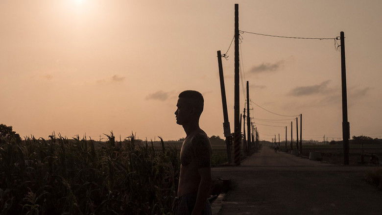 кадр из фильма 度日