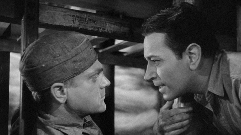 кадр из фильма Каждое утро я умираю