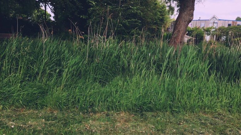 кадр из фильма a very short film about toxic comic nerds