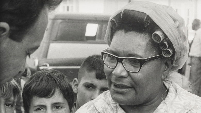 кадр из фильма Auto de Vitória