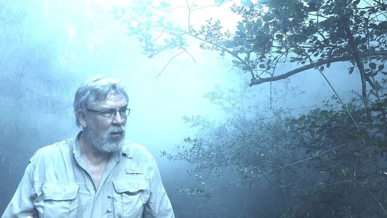 кадр из фильма Alone with Bigfoot