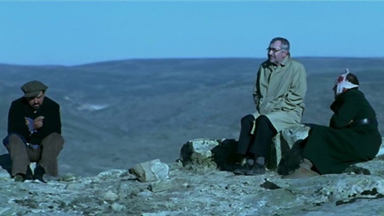 кадр из фильма Paseo