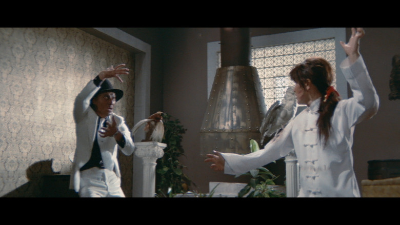 кадр из фильма Леди карате