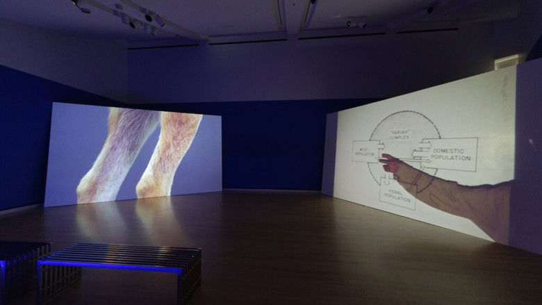 кадр из фильма Heavy Water