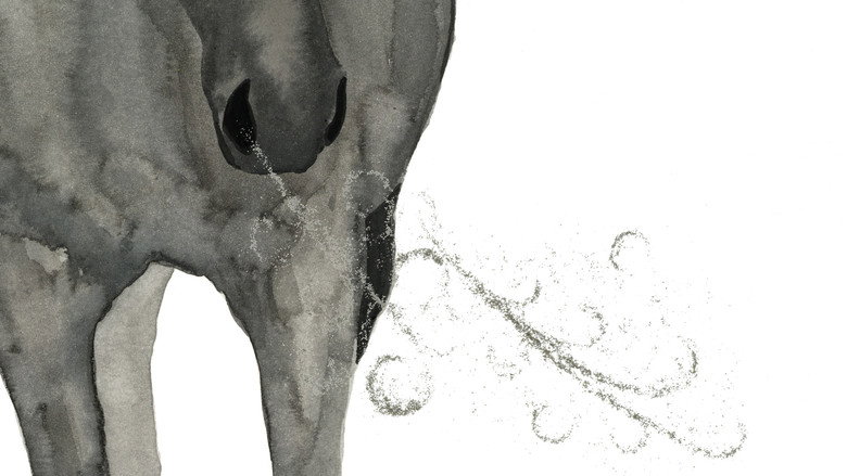 кадр из фильма La Voie de l'Écuyère