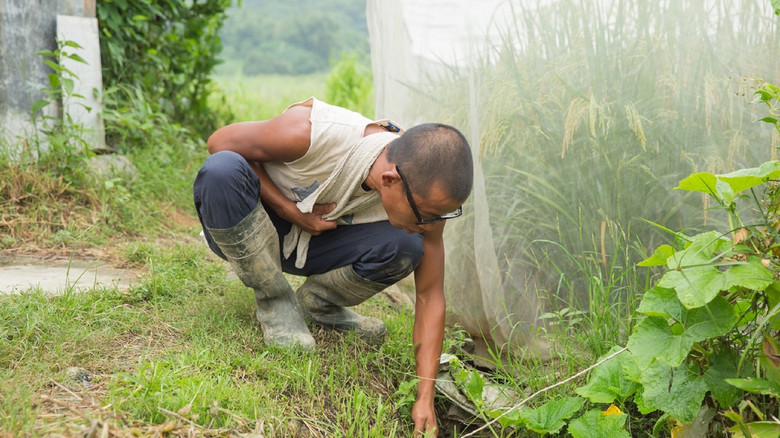 кадр из фильма 港米