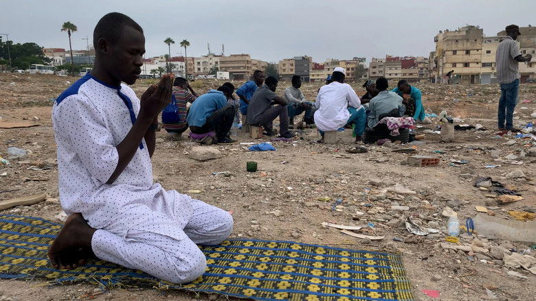 кадр из фильма This Jungo Life