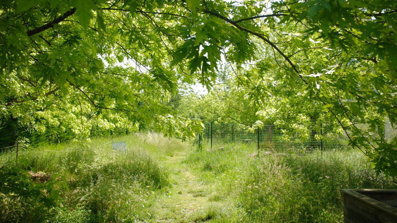кадр из фильма La Picasso Food Forest