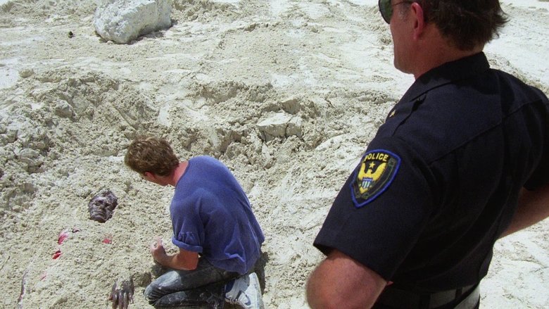 Добро пожаловать на каникулы