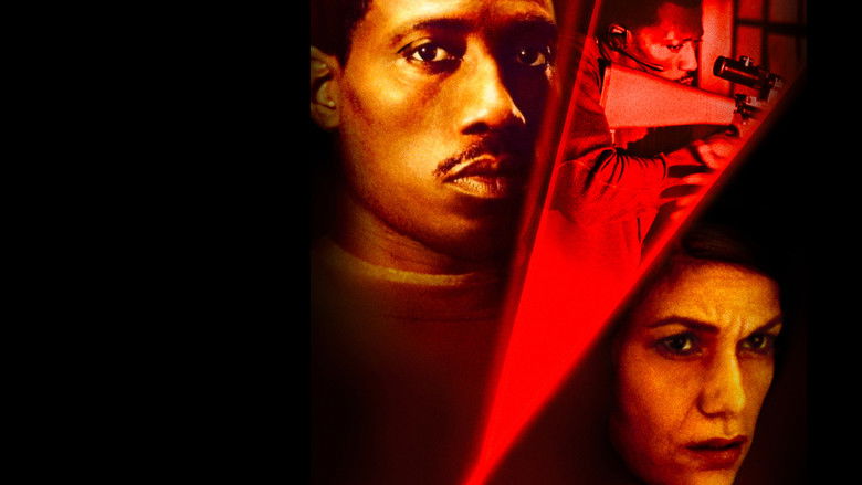 кадр из фильма Под прицелом