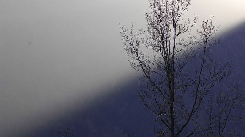 кадр из фильма Lo specchio