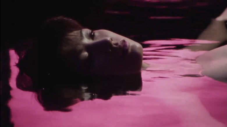 кадр из фильма XX 美しき機能